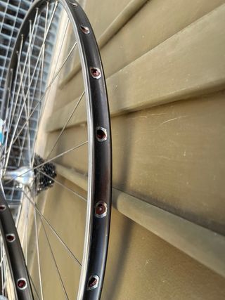 Cerchi Campagnolo Sigma