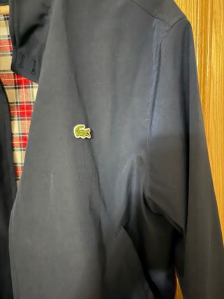 Cazadora Lacoste azul