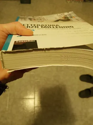 Letteratura terzo millennio. Temi, generi e ope...