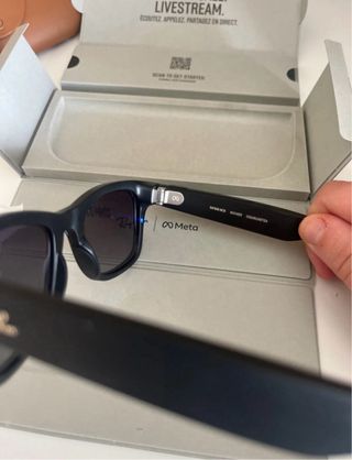 Ray-Ban Meta Wayfarer