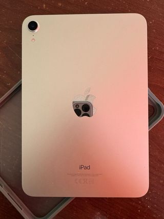 iPad mini 6 Wifi 2022 Gris/Plata