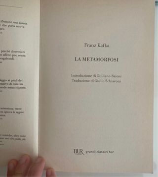 La metamorfosi di Franz Kafka