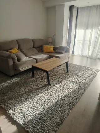 Alfombra gris 300x200