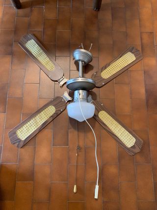 Ventilatore soffitto con luce pulito e smontato