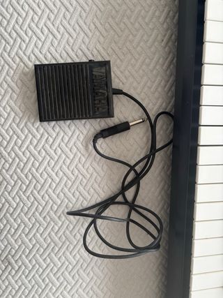 Teclado Casio WK-1600 - 76 teclas