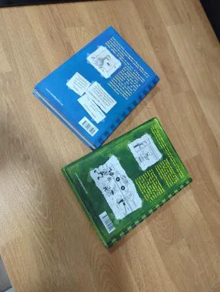 Diari del Greg 2 i 3