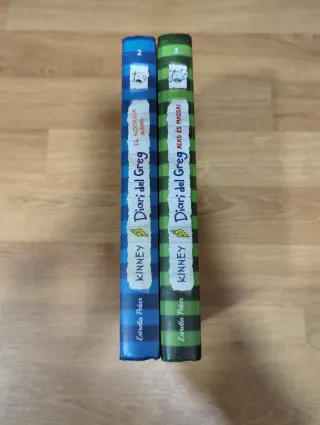 Diari del Greg 2 i 3