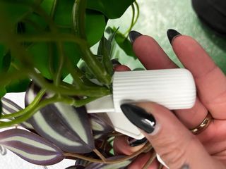 Plantas Colgantes Artificiales (3 uds)