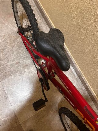 Bicicleta infantil roja 20 pulgadas