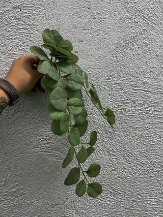 Plantas Artificiales Colgantes (3 uds)
