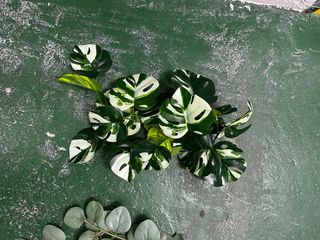 Plantas Artificiales Colgantes (3 uds)
