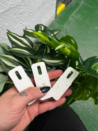 Plantas Artificiales Colgantes (3 uds)