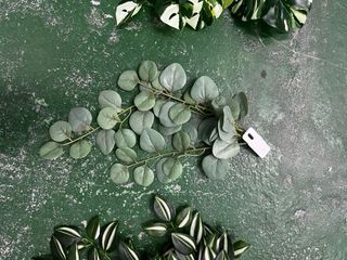 Plantas Artificiales Colgantes (3 uds)