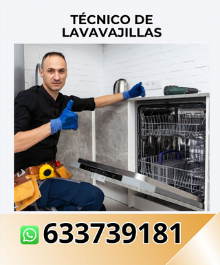Técnico de lavavajillas