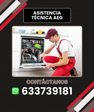 Asistencia técnica AEG