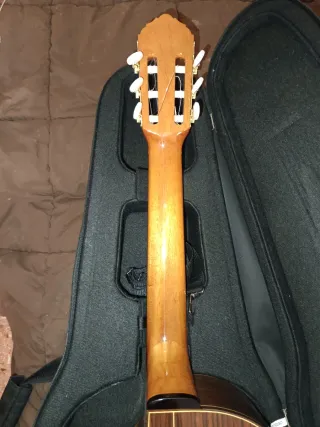 Guitarra Clásica Francisco Bros B40c