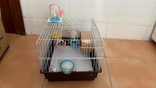 Jaula para hámster con accesorios