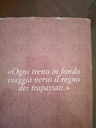 Romanzo " Il treno dell'ultima notte" di D.Maraini