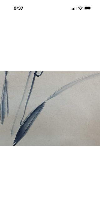 Kakejiku japonés auténtico