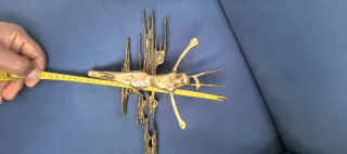 Crucifijo de pared dorado