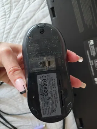 Teclado y Ratón Logitech Negro/Plateado