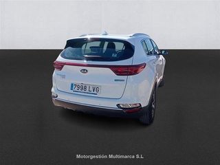 KIA SPORTAGE 1.6 MHEV Business 100kW (136CV) 4x4