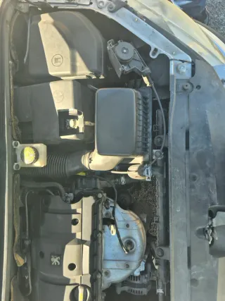 Peugeot 307 1.6 gasolina, 169.000 km