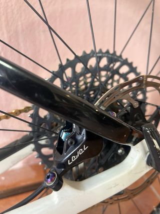 Trek Procaliber 9.8 2021