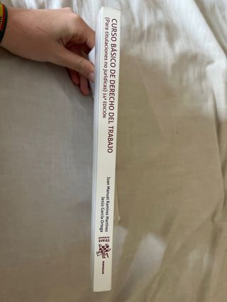 Curso básico de derecho del trabajo (para titul...