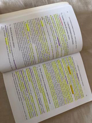 Curso básico de derecho del trabajo (para titul...