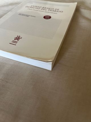 Curso básico de derecho del trabajo (para titul...