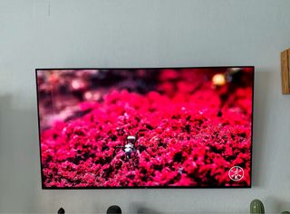 Sony BRAVIA OLED 65” KD-65AG8 4K HDR