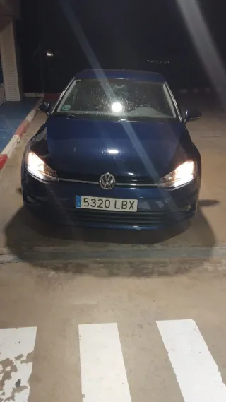 golf n 2019