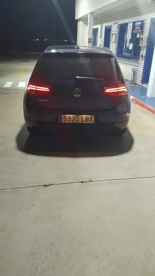golf n 2019