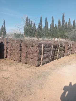 Instalación y venta de BREZO BRUC