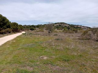 Terreno en venta en San Martín de Valdeiglesias