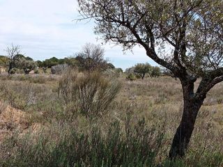 Terreno en venta en San Martín de Valdeiglesias