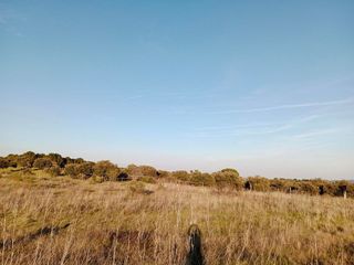 Terreno en venta en San Martín de Valdeiglesias