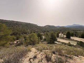 Terreno en venta en Petrer