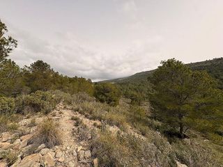 Terreno en venta en Petrer