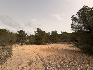 Terreno en venta en Petrer