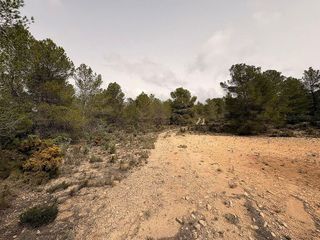 Terreno en venta en Petrer