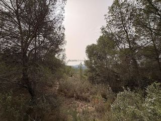 Terreno en venta en Petrer