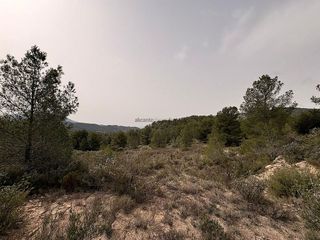 Terreno en venta en Petrer