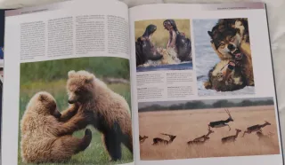 Enciclopedia de los animales. Nacional Geografic.