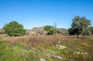 Terreno en venta en Artà en Artà