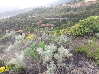 Terreno en venta en Arafo