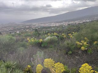 Terreno en venta en Arafo