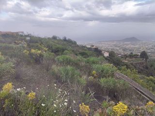 Terreno en venta en Arafo