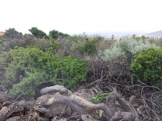 Terreno en venta en Arafo